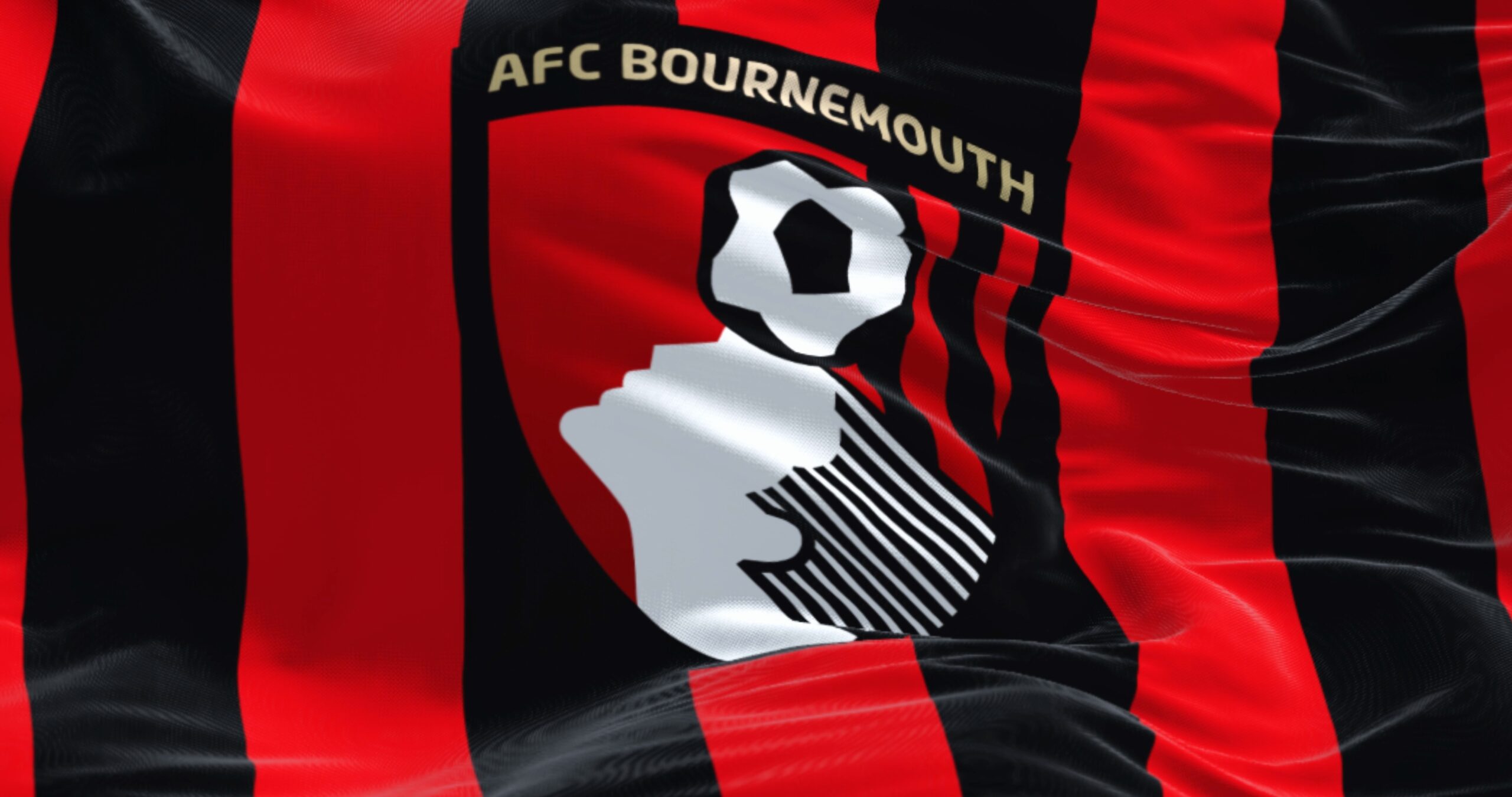 AFC bournemouth